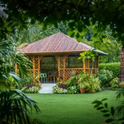 lawn Garden